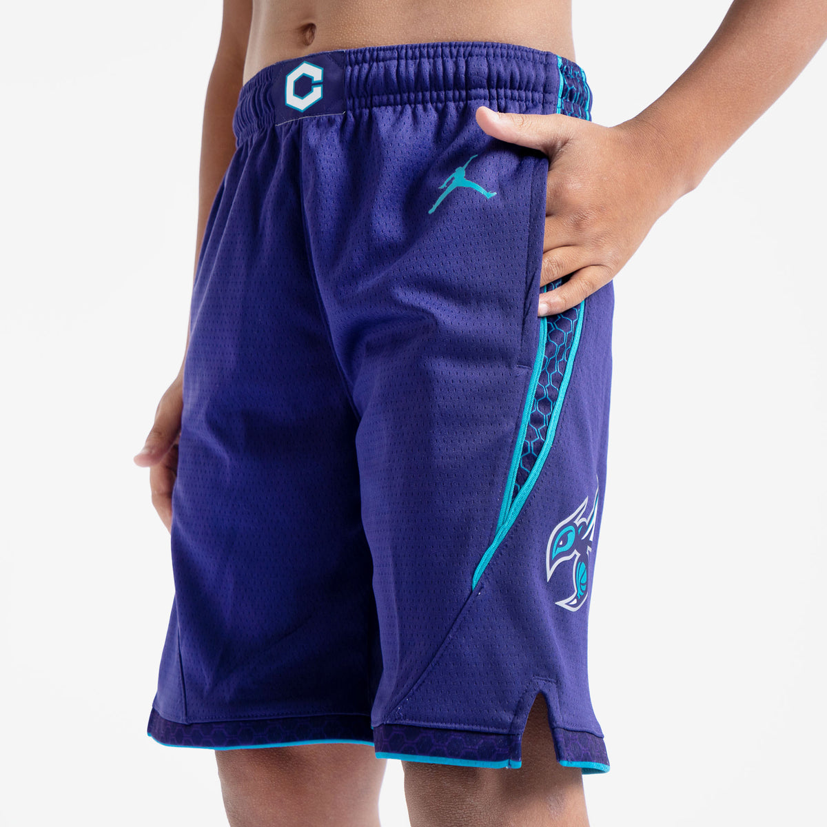 Charlotte Hornets Jordan Icon Swingman Shorts - Mens