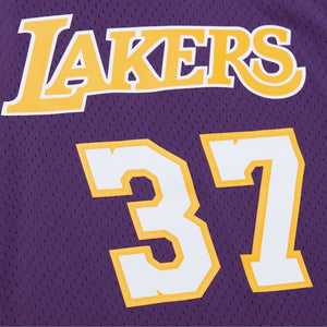 Ron Artest LA Lakers Hardwood Classics Throwback NBA Swingman Jersey