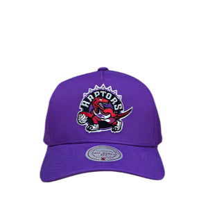 Toronto Raptors Evergreen Team Colour Pro Pinch NBA Snapback Hat