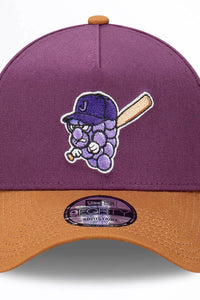 Jamestown Jammers 9FORTY Peanut Butter & Jelly A-Frame MLB Snapback Hat