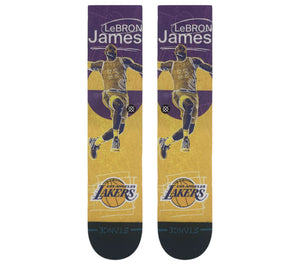 LeBron James Los Angeles Lakers Pasted Stance NBA Socks