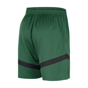 Boston Celtics Practice NBA Shorts