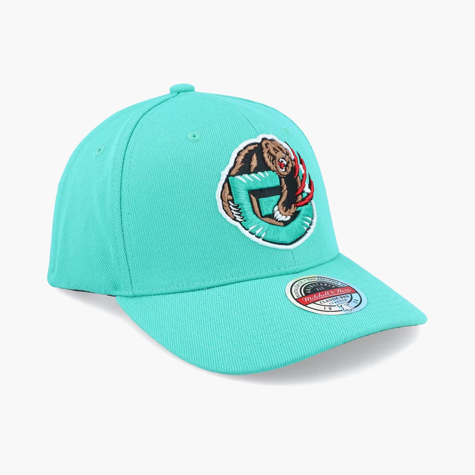 Vancouver Grizzlies Team Ground 2.0 NBA Snapback Hat – Basketball