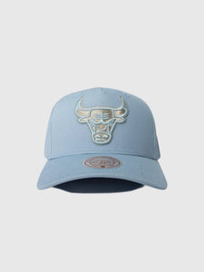 Chicago Bulls Blue Seasonal Pro Crown NBA Snapback Hat