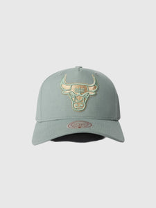 Chicago Bulls Green Seasonal Pro Crown NBA Snapback Hat