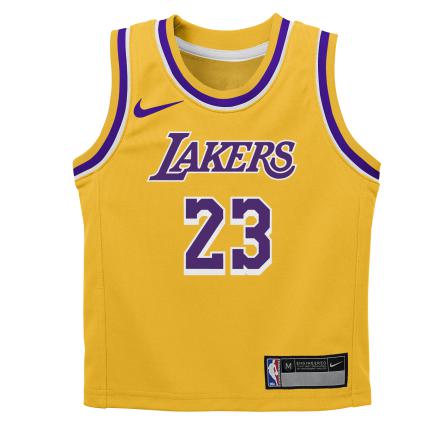 LeBron James Los Angeles Lakers 2024 Icon Edition Boys NBA Jersey ...