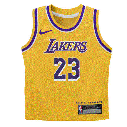 Lebron James Los Angeles Lakers 2024 Icon Edition Toddler NBA Jersey ...
