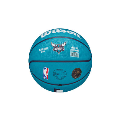 Charlotte Hornet Jerseys - Officially Licenced Hornets NBA Jerseys –  Basketball Jersey World