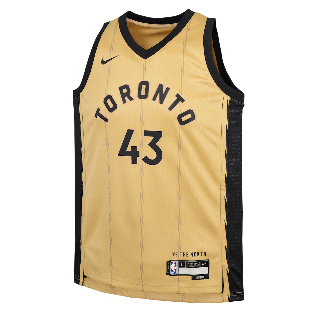 Toronto raptors jersey city 2024 edition