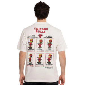 Chicago Bulls Stadium Banner Black Vintage T-Shirt