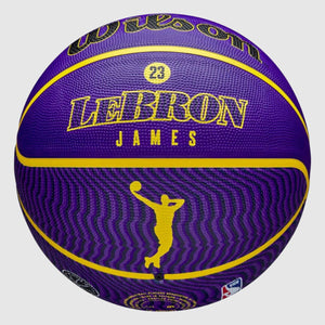 LeBron James Los Angeles Lakers Player Icon NBA Outdoor Basketball