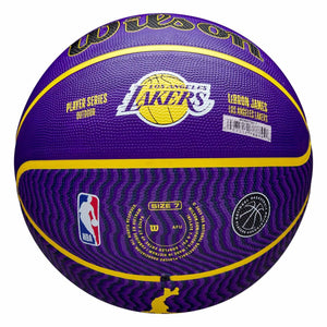 LeBron James Los Angeles Lakers Player Icon NBA Outdoor Basketball