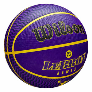 LeBron James Los Angeles Lakers Player Icon NBA Outdoor Basketball