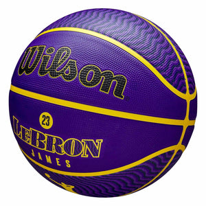 LeBron James Los Angeles Lakers Player Icon NBA Outdoor Basketball