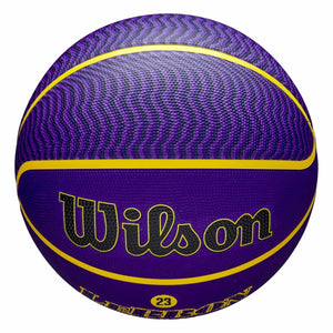 LeBron James Los Angeles Lakers Player Icon NBA Outdoor Basketball