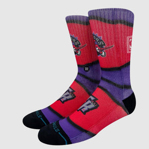 Toronto Raptors Hardwood Classic Mini Ball NBA Stance Socks