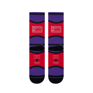 Toronto Raptors Hardwood Classic Mini Ball NBA Stance Socks