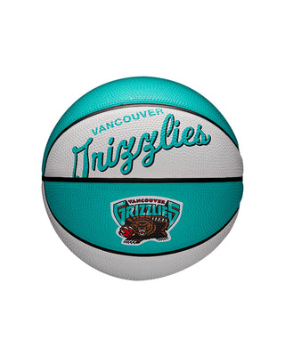 Charlotte Hornets Vintage NBA Spalding Mini Basketball