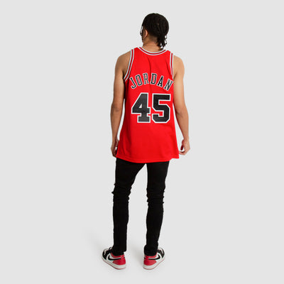 NBA Authentic Jersey Chicago Bulls 1994-95 Michael Jordan in 2023