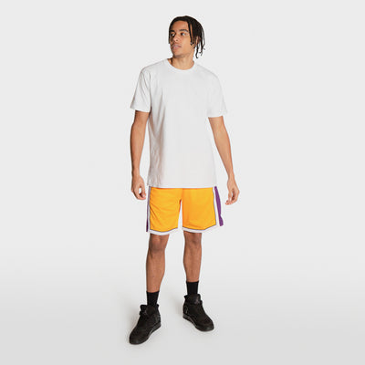 Los Angeles Lakers Practice NBA Shorts – Basketball Jersey World
