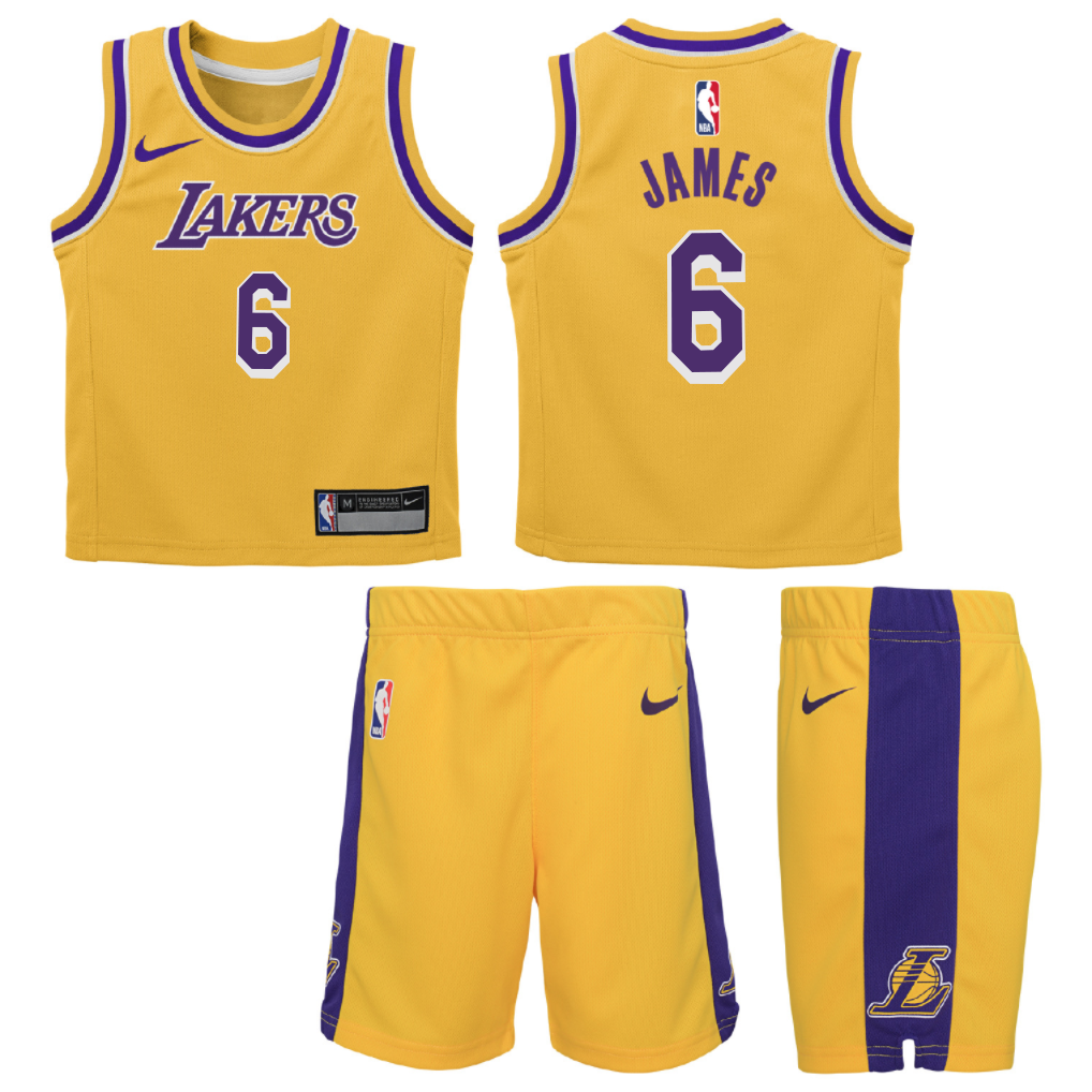 Los Angeles Lakers LeBron James #6 Icon Swingman Jersey M