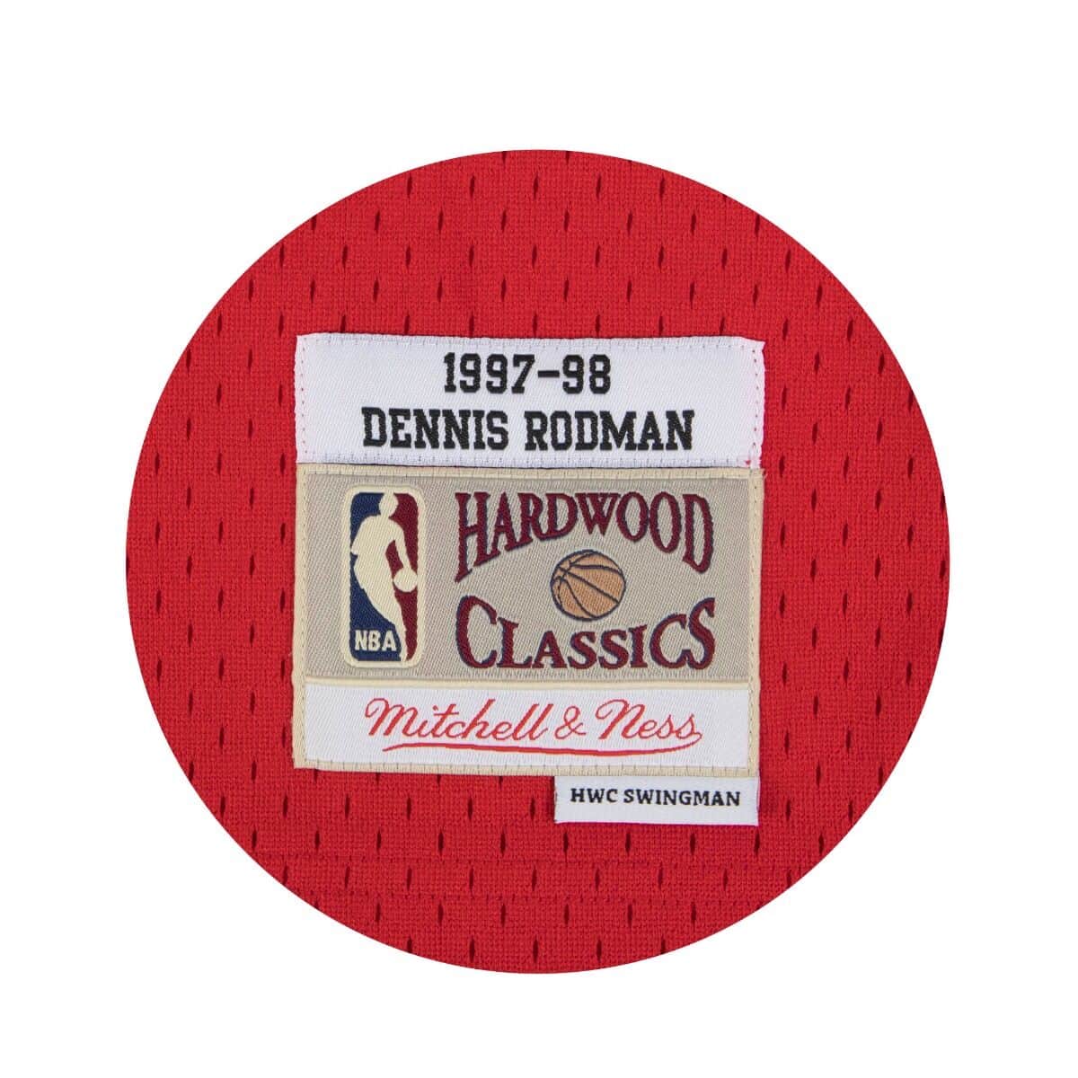Dennis Rodman Chicago Bulls Throwback NBA Swingman Jersey – Basketball  Jersey World