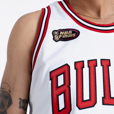 Scottie Pippen Chicago Bulls HWC Throwback NBA Swingman Jersey – Basketball  Jersey World