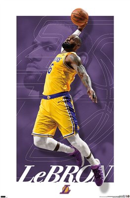 LeBron James Los Angeles Lakers 2023 Statement Edition NBA Swingman Je –  Basketball Jersey World